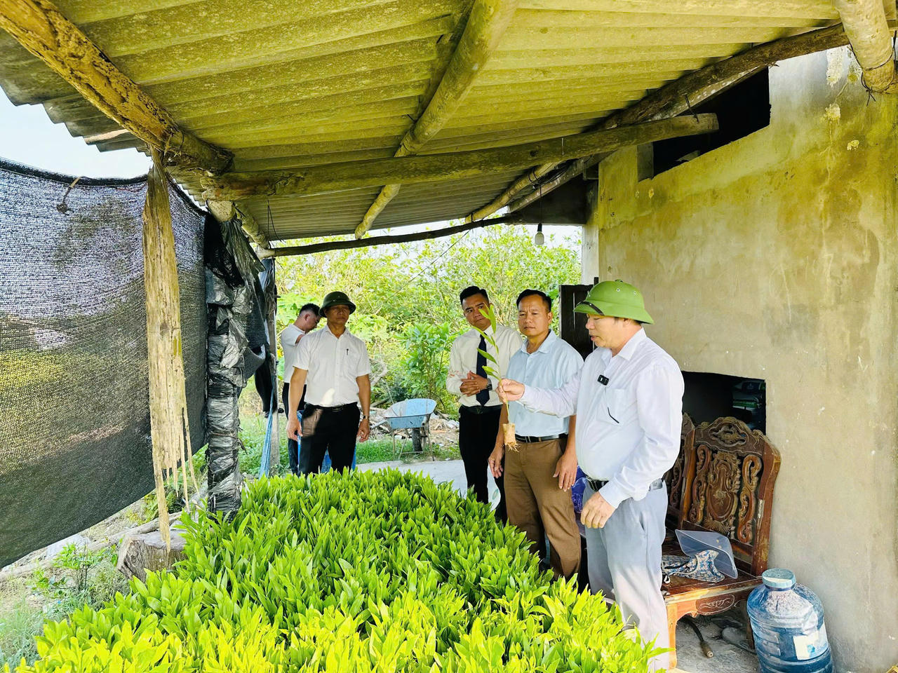 Ngoài việc hỗ trợ cây giống, phía Hoàng Gia Phát Group sẽ đồng hành cùng chính quyền địa phương hỗ trợ người dân quy trình canh tác đáp ứng nguyên tắc trồng rừng "sạch" theo tiêu chuẩn FSC.