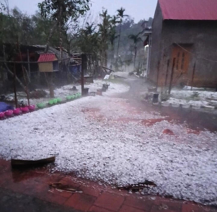 Mưa đá trắng sân tại xã Yên Trạch, Thái Nguyên. (Ảnh: VOV)