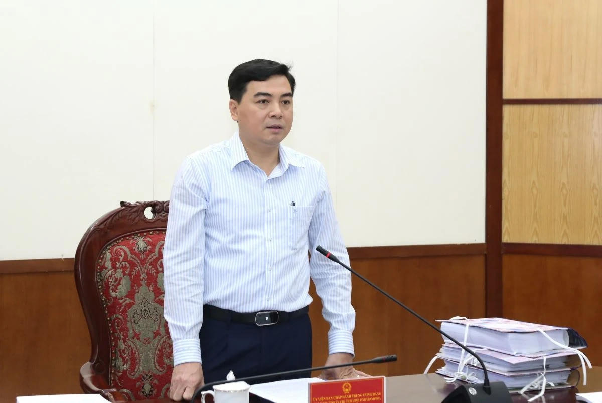 Chủ tịch UBND tỉnh Thanh Hóa Nguyễn Hoài Anh phát biểu kết luận hội nghị.