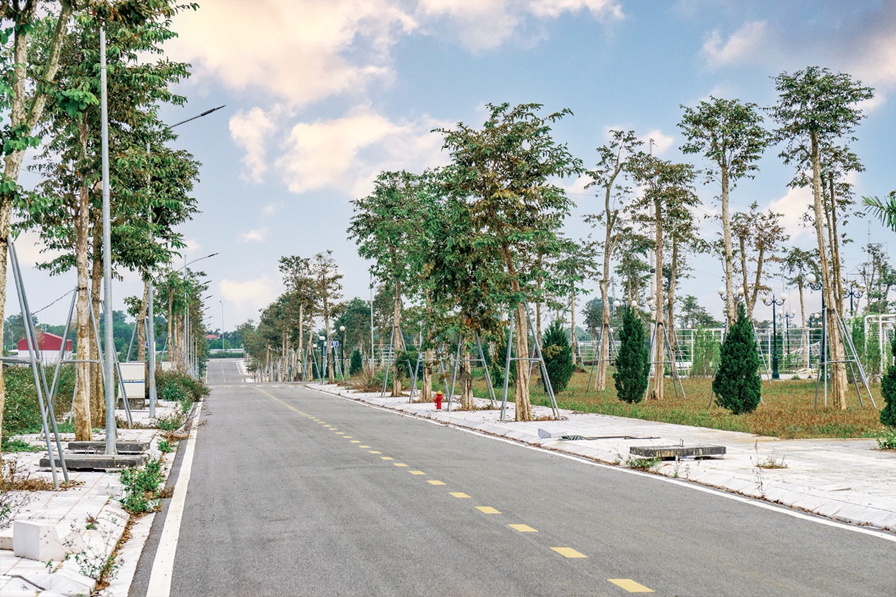 Hàng cây xanh phủ bóng những con đường nội khu Sao Mai Residence.