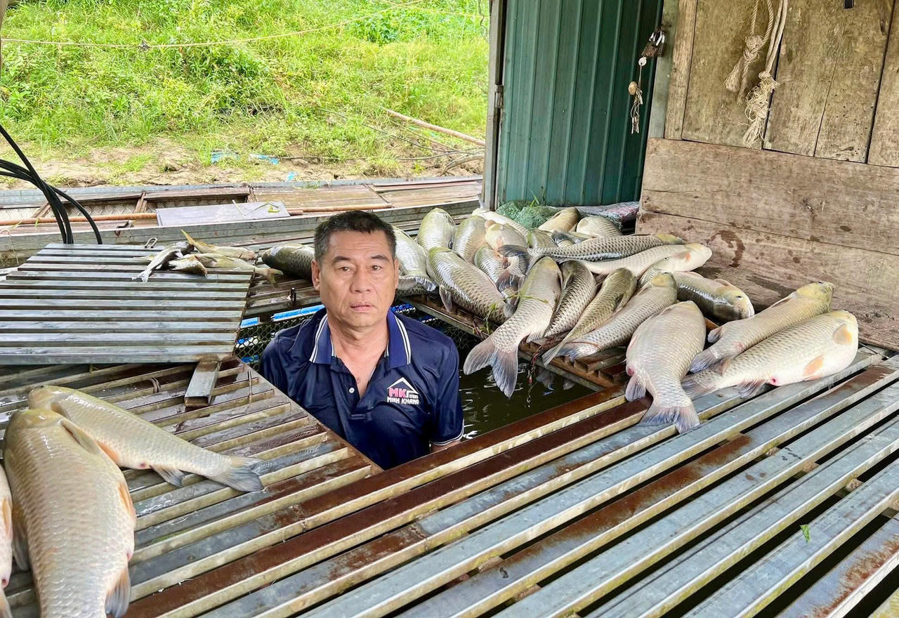 Lấy mẫu nước sông Lam tìm nguyên nhân hơn 8,6 tấn cá chết bất thường