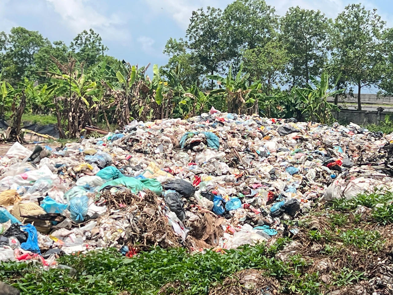 Ninh Bình: Người dân thôn Phú Bình mong mỏi xử lý bãi rác, đảm bảo không gian sống trong lành