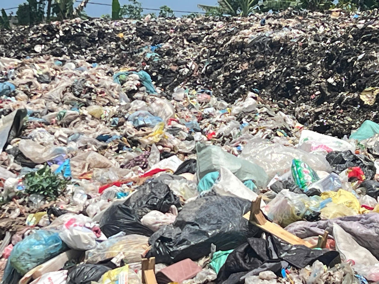 Ninh Bình: Người dân thôn Phú Bình mong mỏi xử lý bãi rác, đảm bảo không gian sống trong lành