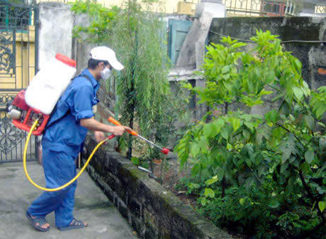 Tiếp tục phát hiện ổ dịch sốt xuất huyết ở Hà Tĩnh