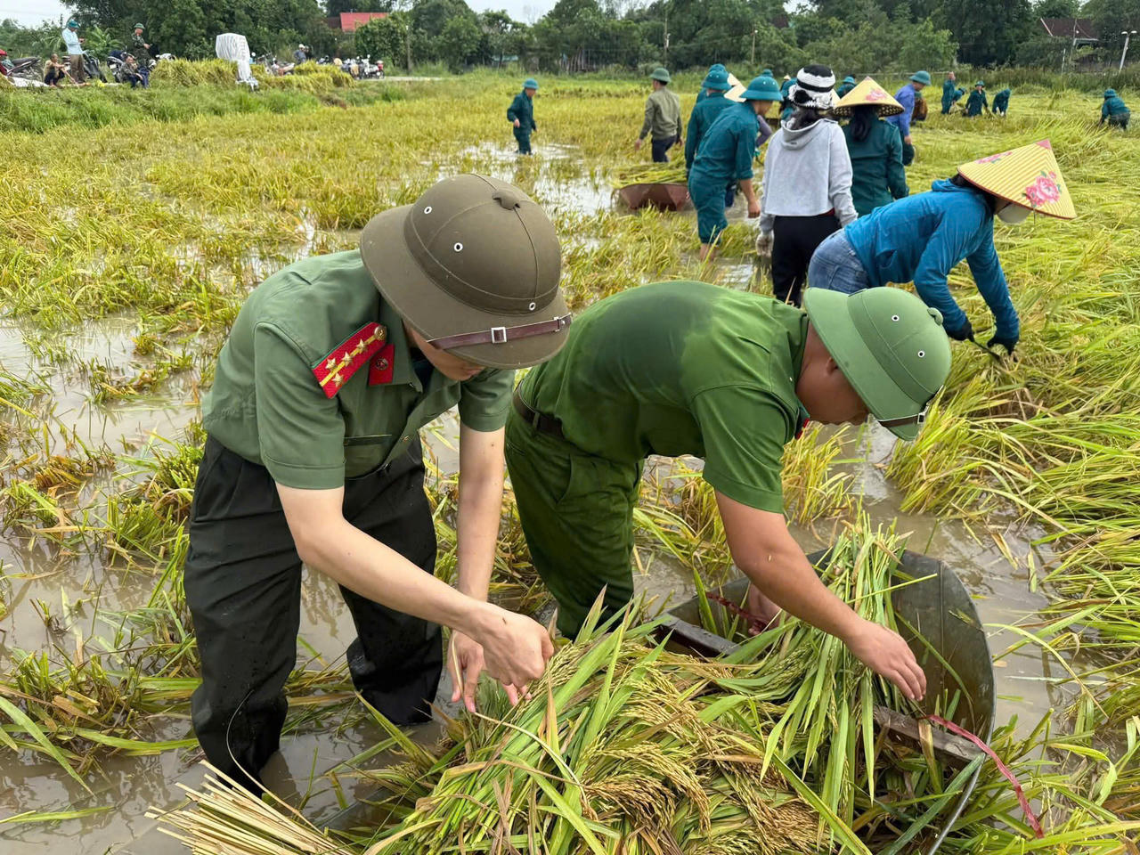 Các cán bộ, chiến sĩ chia nhau từng khu vực để giúp đỡ người dân.