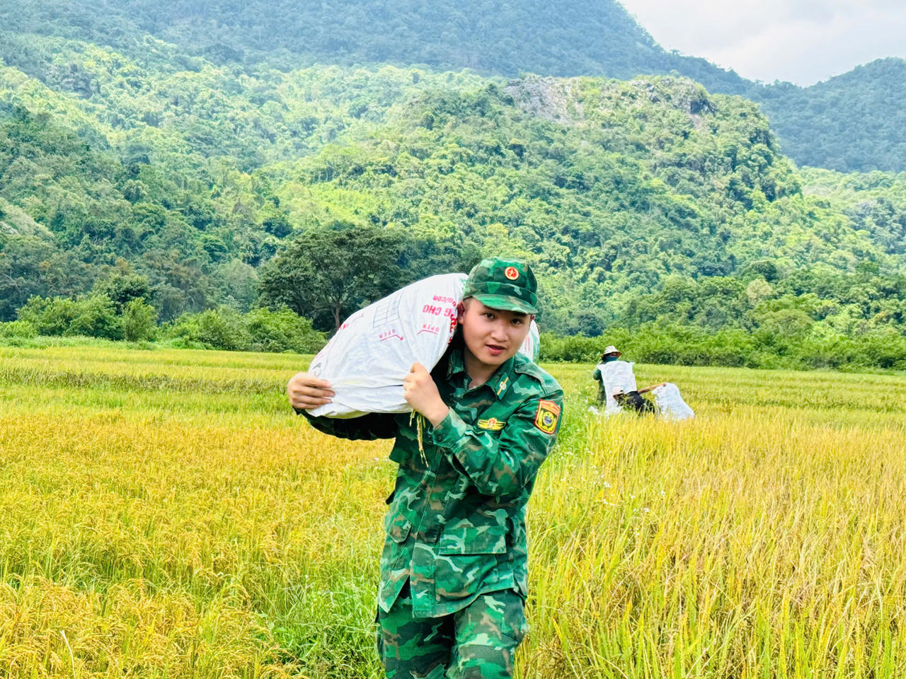 Áo xanh xuống đồng giữ mùa vàng nơi biên giới Quảng Trị