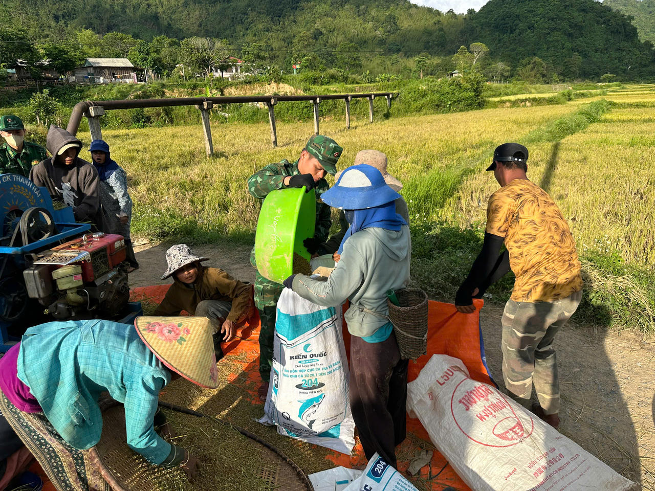 Áo xanh xuống đồng giữ mùa vàng nơi biên giới Quảng Trị