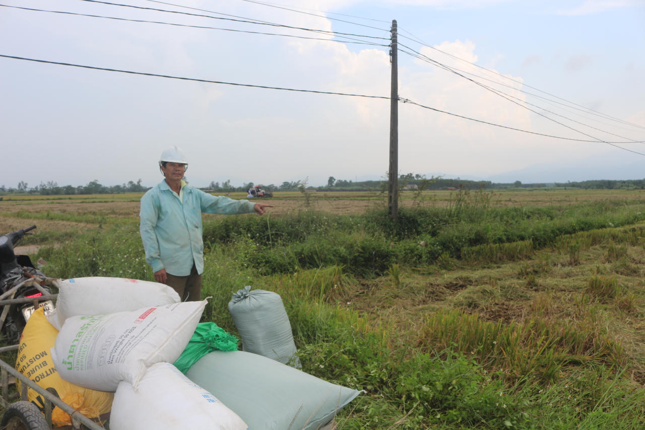 Ông Lợi bên cánh đồng lúa vụ Đông Xuân, nơi nhiều nông dân đang thấp thỏm vì chi phí sản xuất tăng cao.
