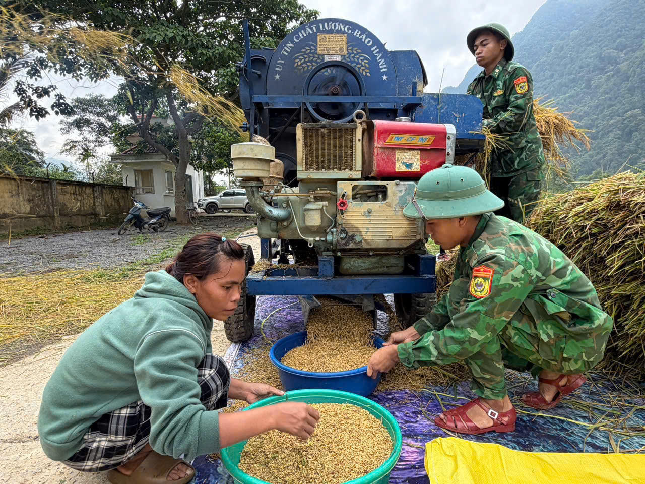 Áo xanh xuống đồng giữ mùa vàng nơi biên giới Quảng Trị