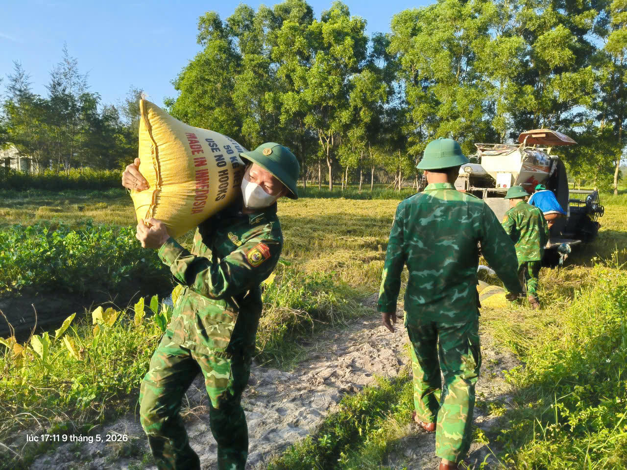 Áo xanh xuống đồng giữ mùa vàng nơi biên giới Quảng Trị