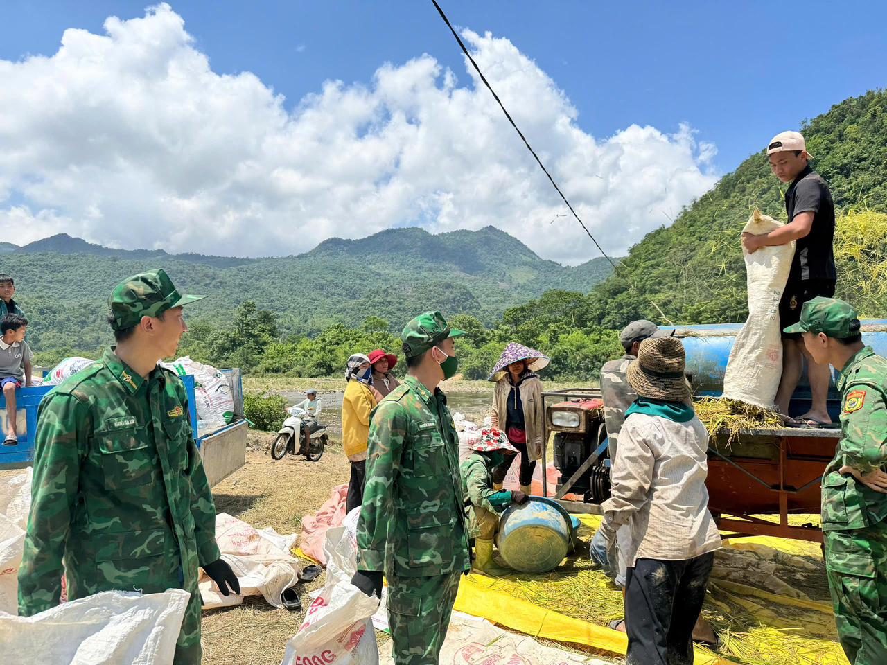 Áo xanh xuống đồng giữ mùa vàng nơi biên giới Quảng Trị