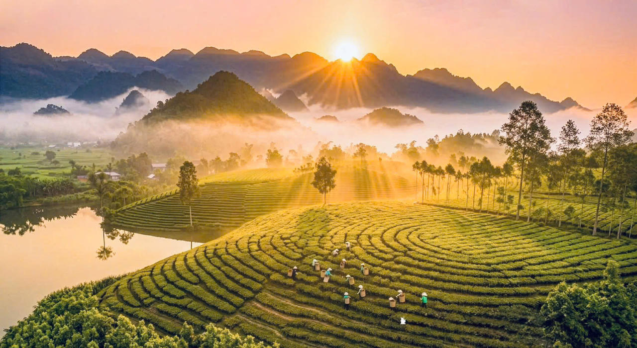 Giải đấu dự kiến diễn ra ngày 24/5/2026, quy tụ khoảng 200 vận động viên trong và ngoài nước tham gia tranh tài. 