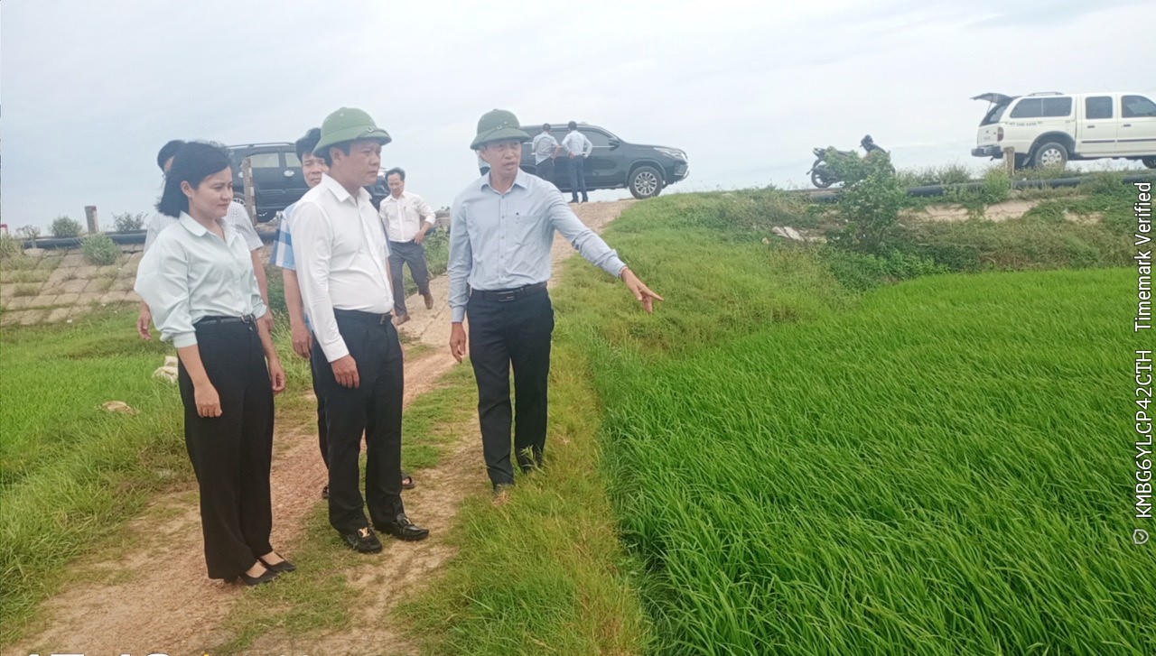 Lãnh đạo Sở Nông nghiệp và Môi trường cùng Chi cục Trồng trọt và Bảo vệ thực vật tỉnh Quảng Trị kiểm tra tình hình sản xuất lúa vụ Đông Xuân trên địa bàn.