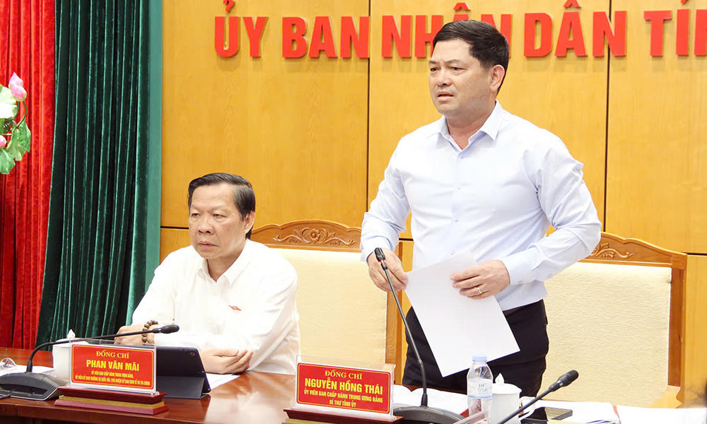 Bí thư Tỉnh ủy Nguyễn Hồng Thái phát biểu tại buổi khảo sát.