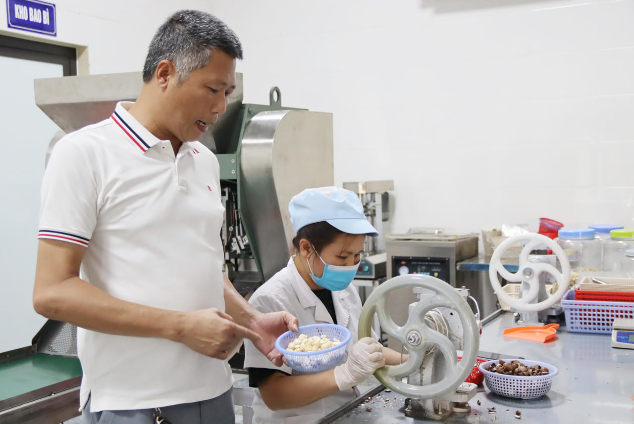 Mắc ca "bén duyên" trên đất Phủ Quỳ, mở hướng đi mới cho nông nghiệp giá trị cao