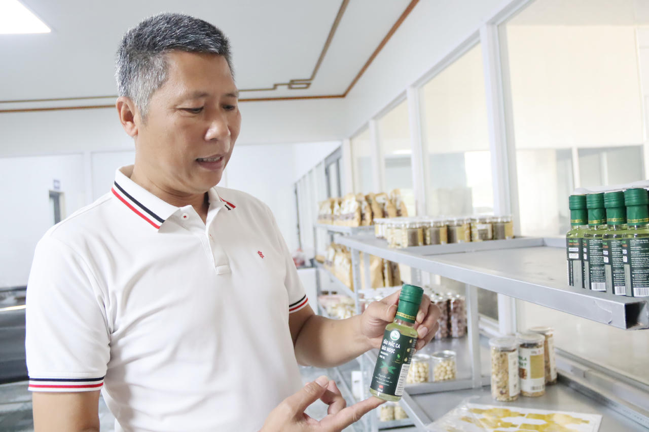 Mắc ca "bén duyên" trên đất Phủ Quỳ, mở hướng đi mới cho nông nghiệp giá trị cao