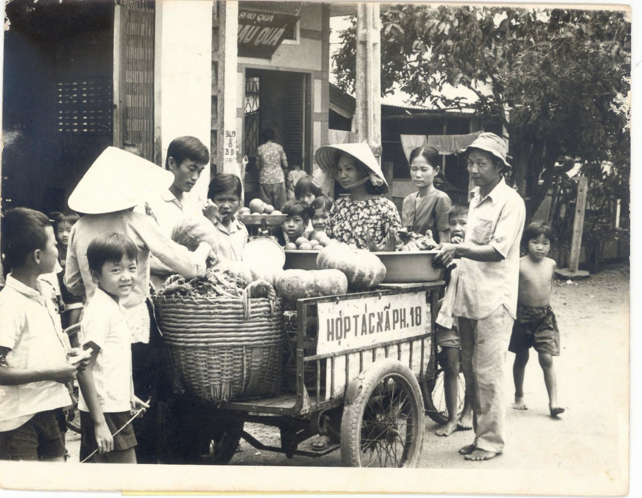 Saigon Co.op: Hành trình 37 năm của một thương hiệu đi lên cùng người Việt