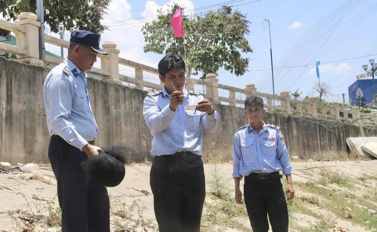Hiện nay, tình trạng săn bắt chim yến trái phép vẫn diễn biến phức tạp, lan rộng tại nhiều địa phương.