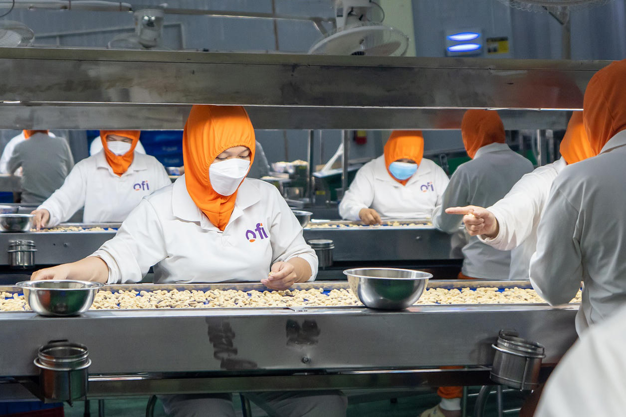 ofi là một trong những nhà xuất khẩu hạt điều và hồ tiêu hàng đầu tại Việt Nam trong 3 năm liên tiếp.