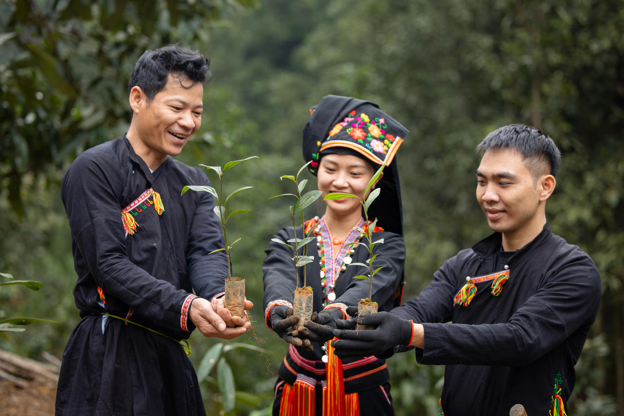 Nông dân trong chuỗi cung ứng của ofi Việt Nam tham gia dự án Quế hữu cơ tại tỉnh Lào Cai.