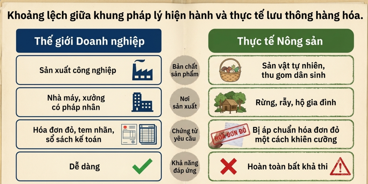 "Lệch pha" trong quản lý thị trường: Khi xác ve sầu, hạt mix, mai vàng cũng cần "giấy thông hành"?