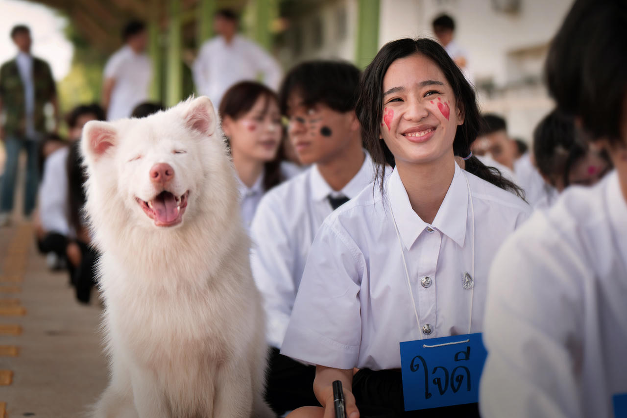 Đồng thời gửi gắm thông điệp về tình yêu thương và sự chữa lành. Ảnh: CJ