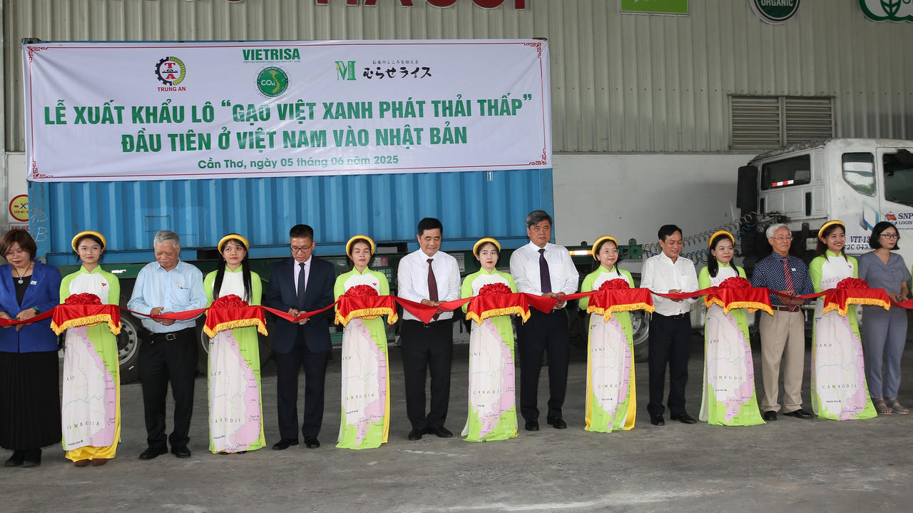 Xây dựng cơ chế chứng nhận 'Gạo Việt xanh phát thải thấp'
