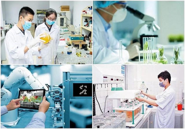 Tuyển sinh, đào tạo sau đại học: Đề xuất tăng tự chủ, siết chất lượng đầu ra