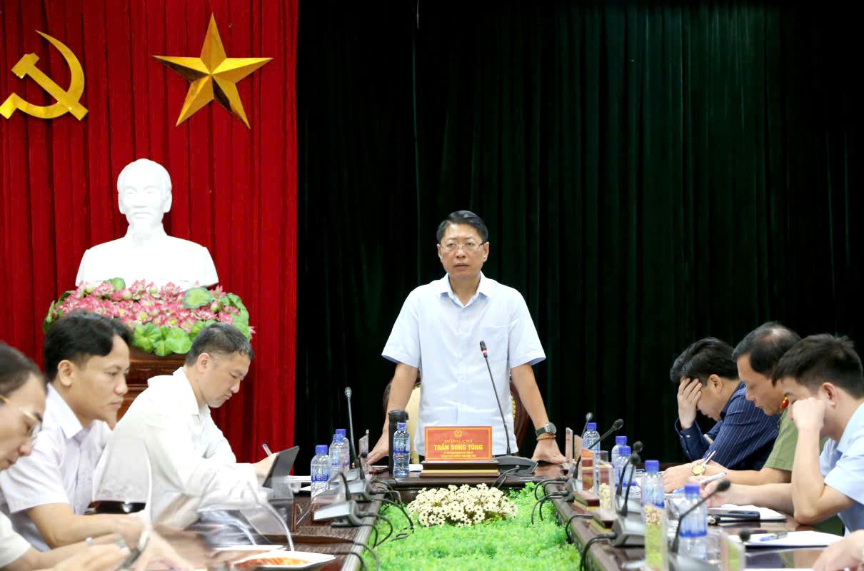 Phó Chủ tịch Thường trực UBND tỉnh Ninh Bình, Trần Song Tùng phát biểu