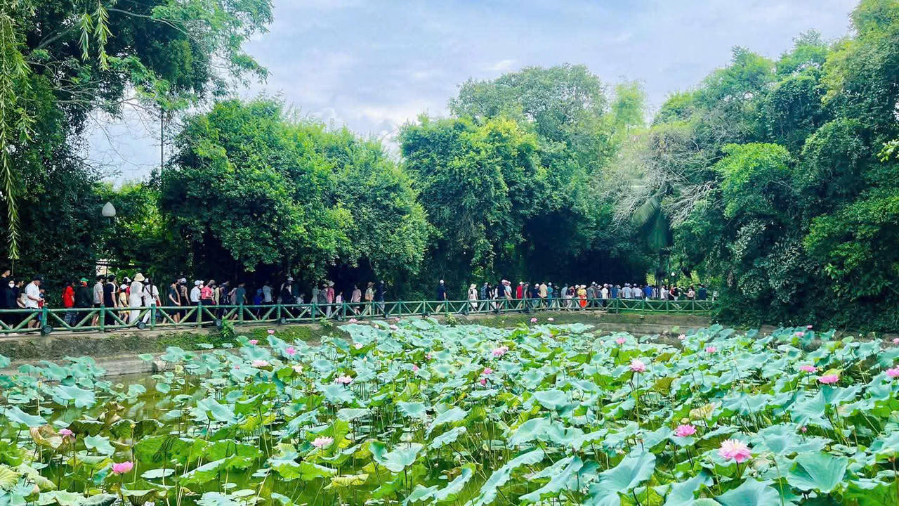 Hương sen quê Bác những ngày tháng 5