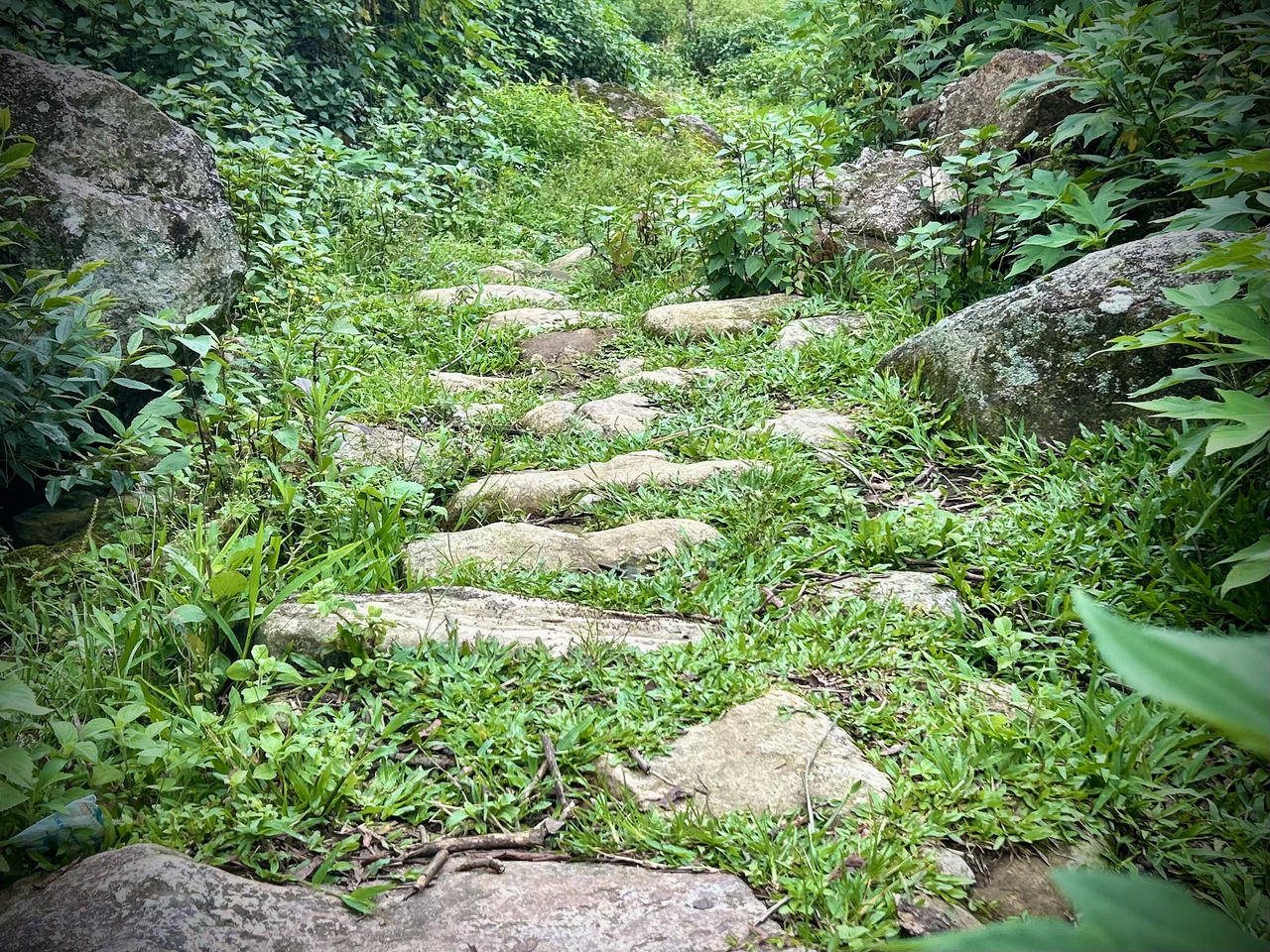Đường đá cổ Pa Vi được xây dựng từ thời Pháp.