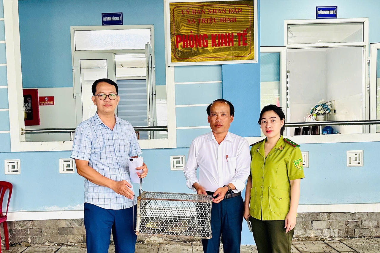Bàn giao cá thể kỳ đà vân quý hiếm cho trung tâm cứu hộ Bàn giao cá thể kỳ đà vân quý hiếm cho trung tâm cứu hộ