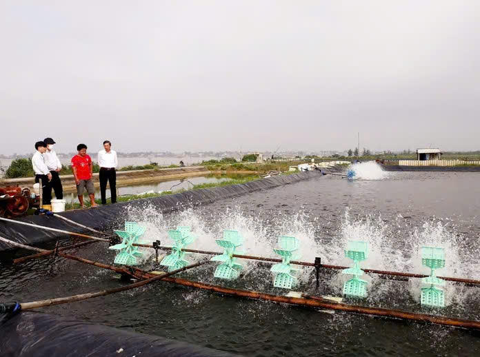 Tín dụng chính sách giữ mạch chảy giảm nghèo ở Quảng Trị