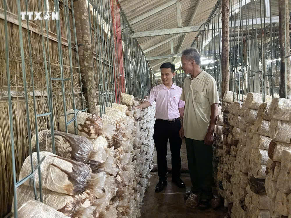 Tín dụng chính sách giữ mạch chảy giảm nghèo ở Quảng Trị