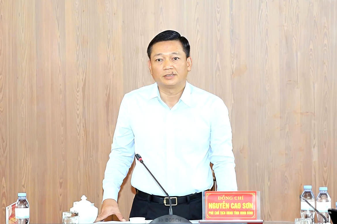 Ông Nguyễn Cao Sơn, Phó Chủ tịch UBND tỉnh Ninh Bình phát biểu.