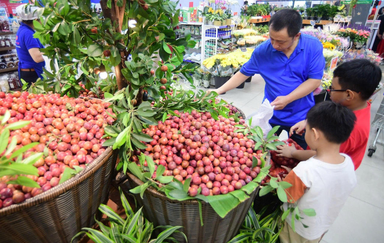 Hệ thống Co.opmart và Co.opXtra còn tổ chức dùng thử sản phẩm để khách hàng trực tiếp trải nghiệm hương vị đặc trưng của mận hậu đầu mùa