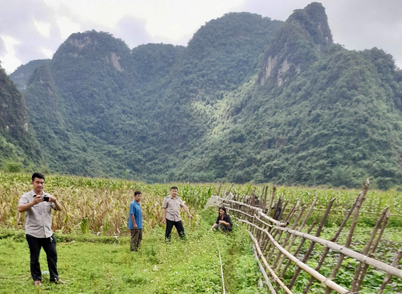 Người đi tìm "dấu vết thực địa" trong mỗi bản án thi hành ở vùng cao
