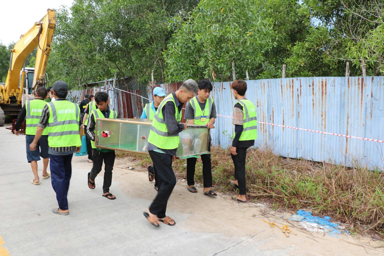 An Giang xử lý nghiêm các trường hợp lấn chiếm đất rừng ở Phú Quốc