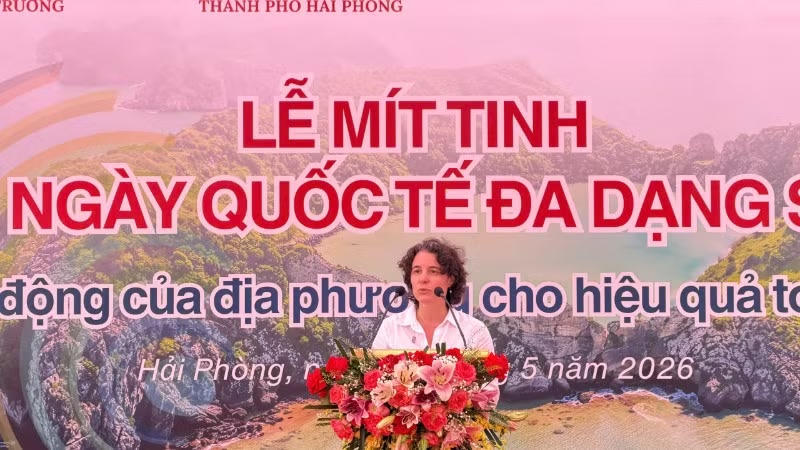 Bà Francesca Nardini, Phó Trưởng Đại diện thường trú Chương trình Phát triển Liên hợp quốc (UNDP) tại Việt Nam phát biểu tại buổi lễ.