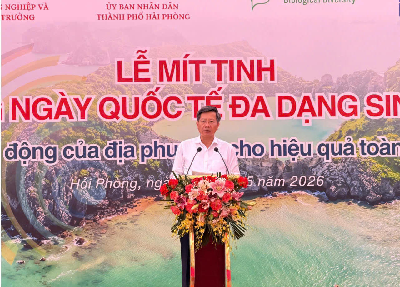 Ông Lê Anh Quân Phó Chủ tịch Thường trực UBND TP Hải Phòng phát biểu tại buổi lễ.