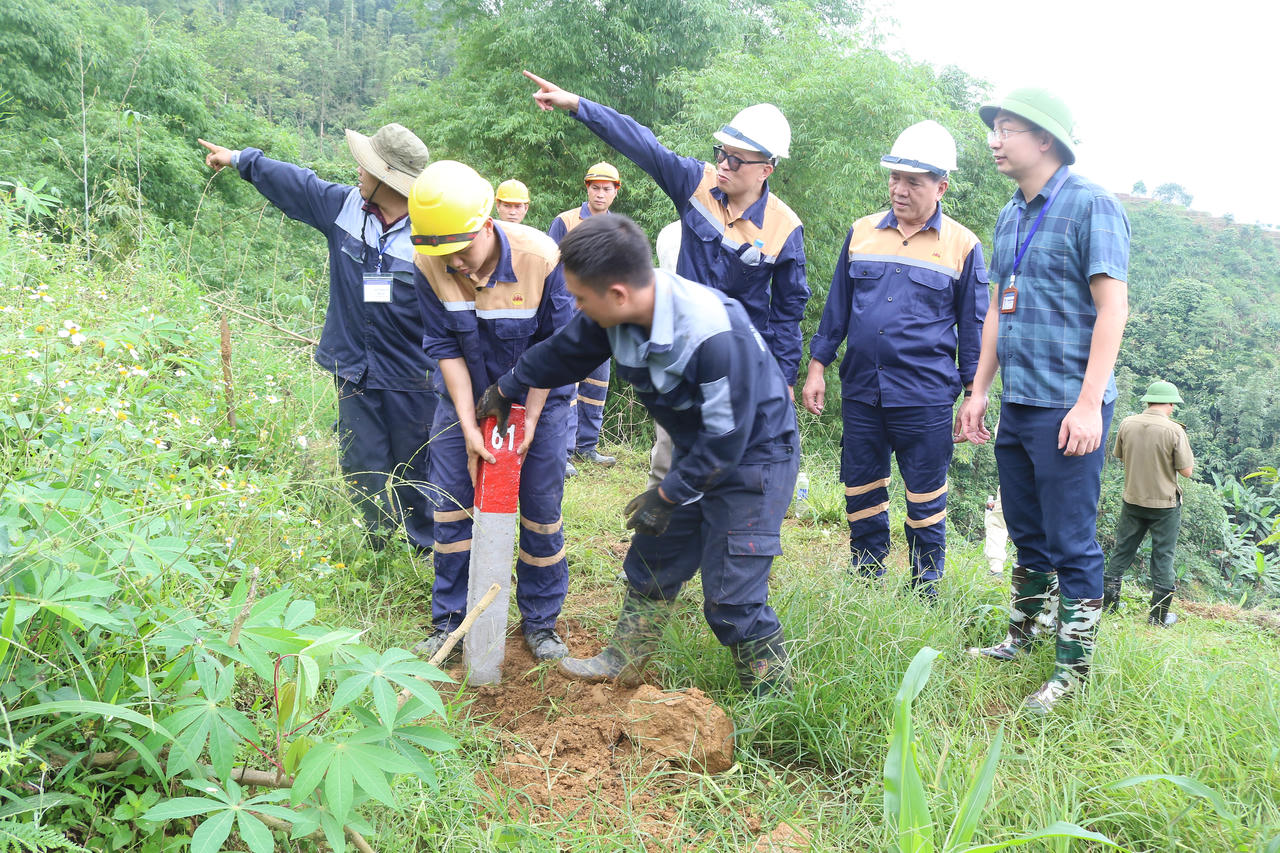 Công nhân tiến hành cắm mốc ranh giới trong phạm vi diện tích đất được UBND tỉnh Lào Cai cho thuê.