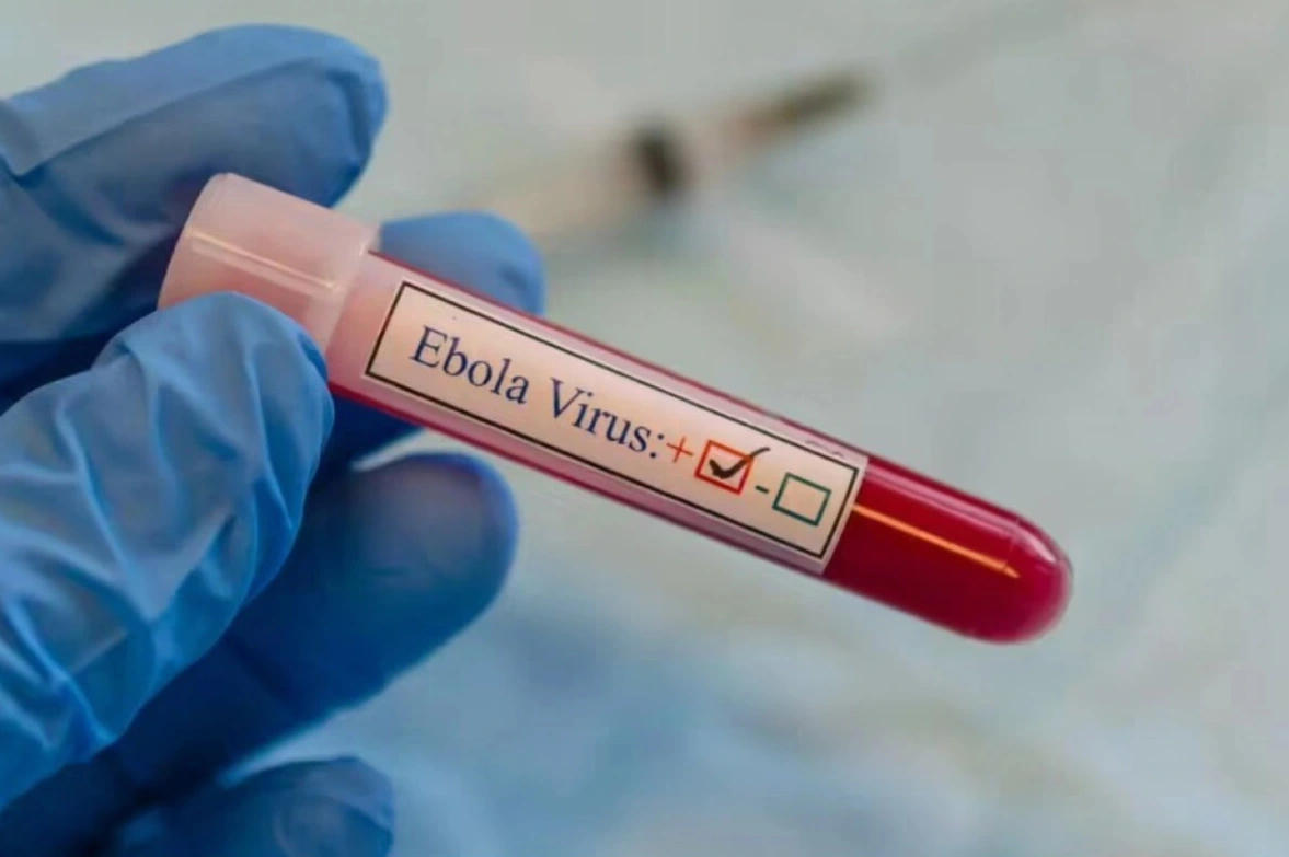 Hà Nội chủ động phòng ngừa nguy cơ dịch bệnh Ebola xâm nhập
