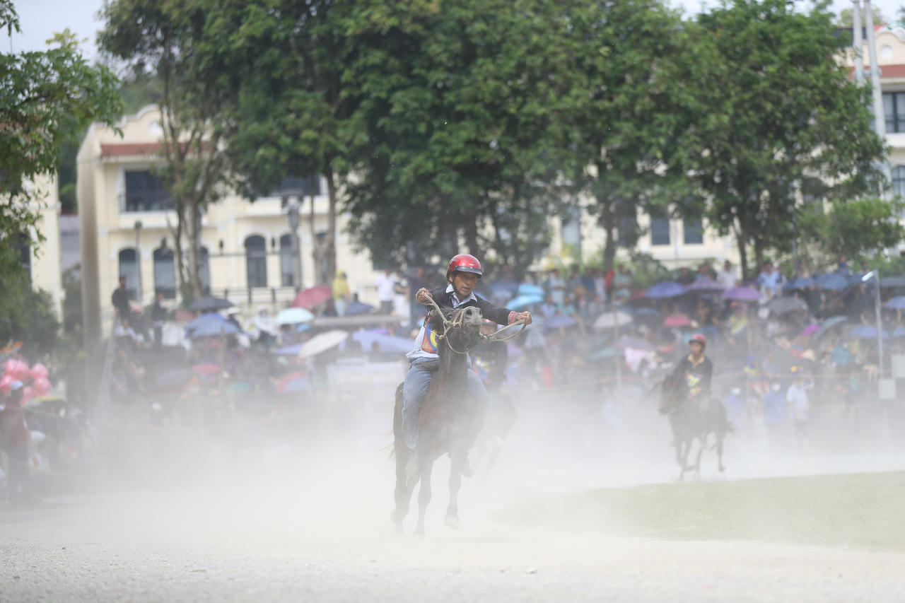 Khai mạc Festival cao nguyên trắng Bắc Hà năm 2026
