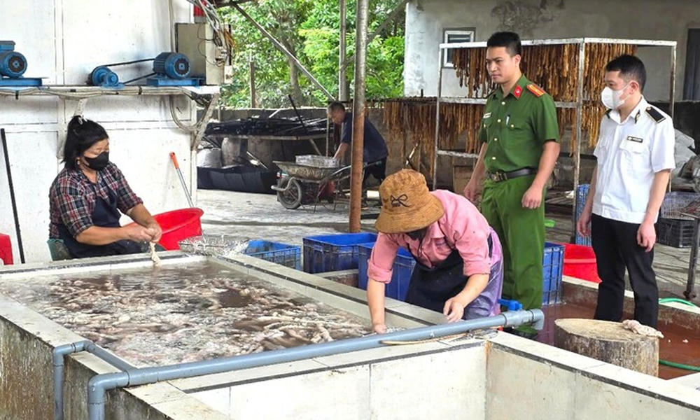 Bắc Ninh phát hiện hơn 3 tấn lòng lợn bốc mùi hôi thối chuẩn bị tuồn ra thị trường