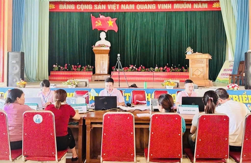 Tín dụng chính sách - 'đòn bẩy' giảm nghèo bền vững ở miền núi Tân Kỳ