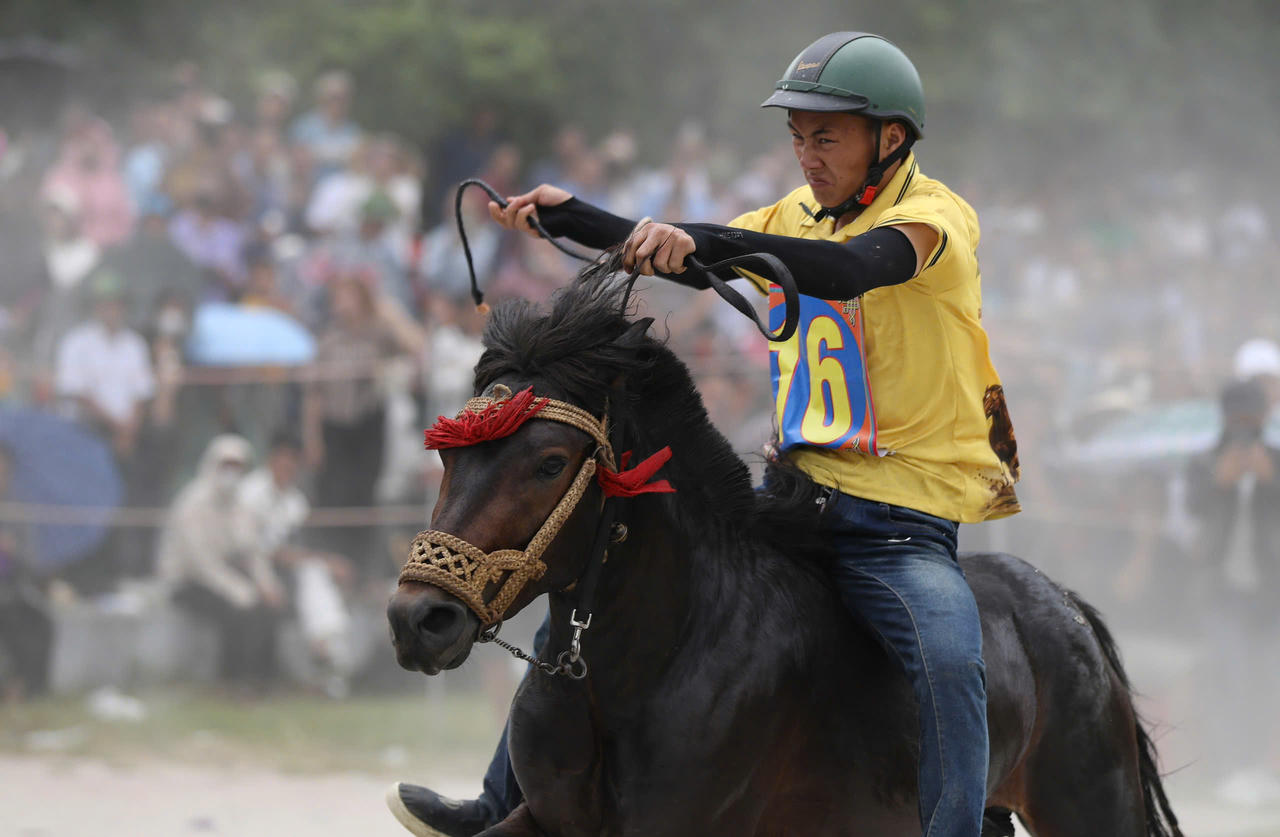 Những ch&uacute; ngựa thồ quen thuộc ng&agrave;y thường trở th&agrave;nh &ldquo;chiến m&atilde;&rdquo; tr&ecirc;n đường đua Bắc H&agrave;.