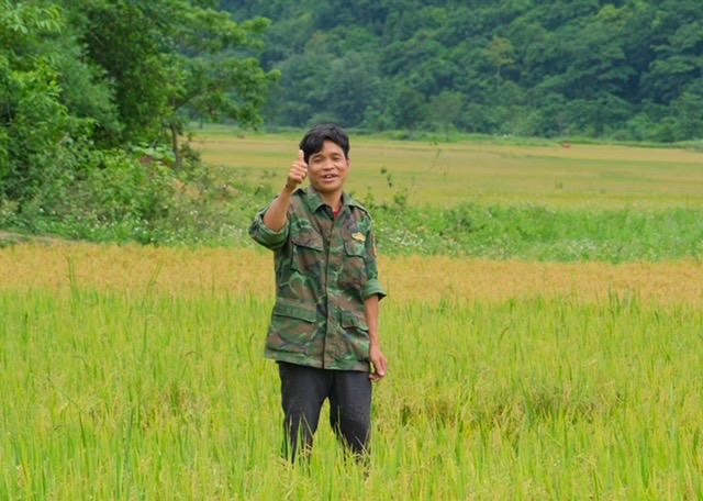 Niềm vui được mùa lúa.
