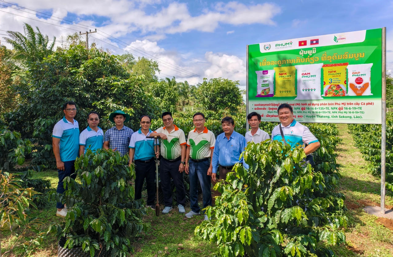 Mô hình liên kết “4 nhà” giữa doanh nghiệp, nhà khoa học, đơn vị kinh doanh và nhà nông đang được Phú Mỹ triển khai hiệu quả tại Lào, góp phần đưa tiến bộ kỹ thuật vào thực tiễn sản xuất nông nghiệp.&nbsp;