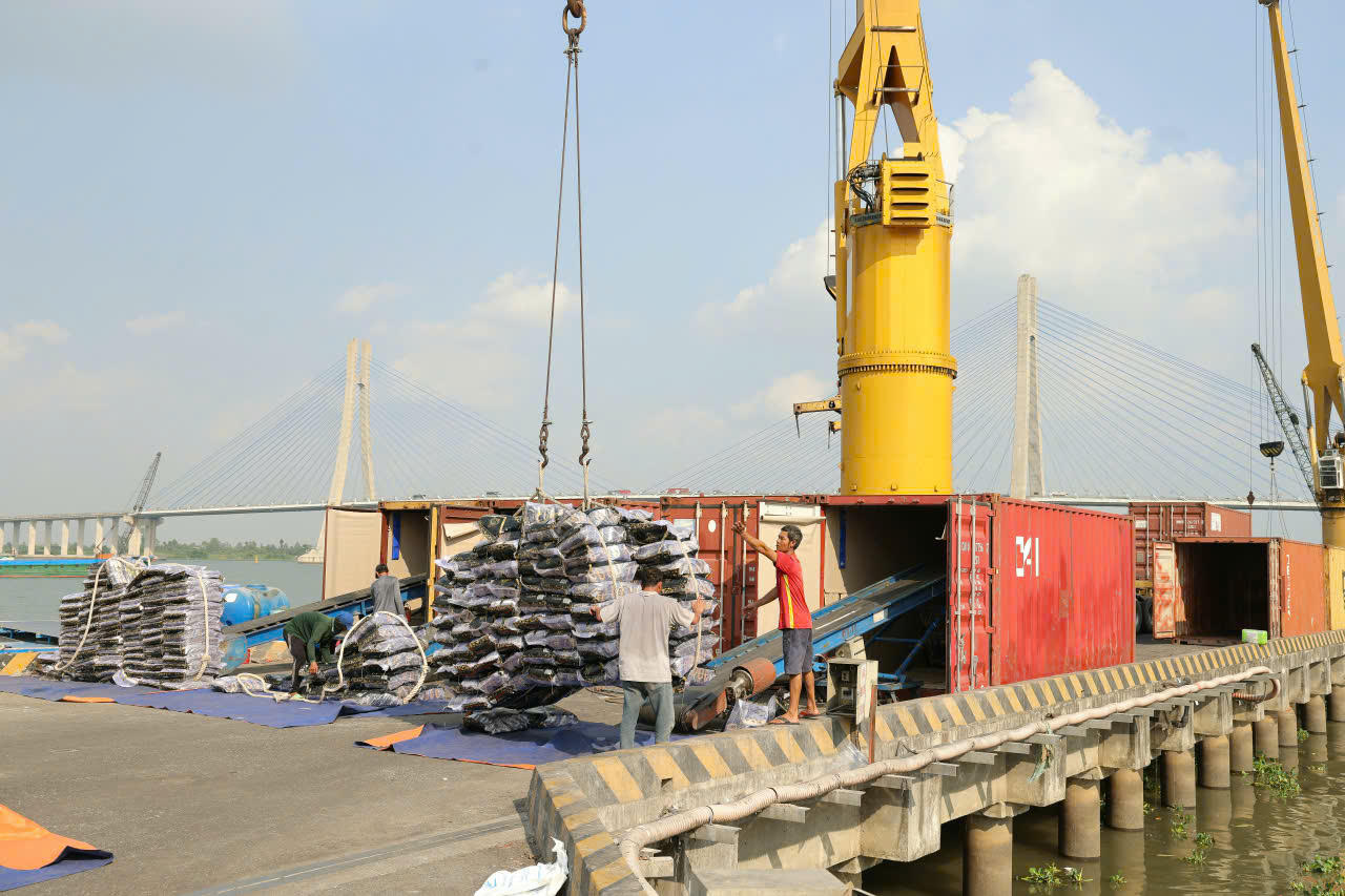 Tân Cảng - Thốt Nốt (TP Cần Thơ) - nơi đảm nhiệm vai trò thu gom, tập kết, thông quan hàng hóa, xếp dỡ container hàng xuất nhập khẩu; cung cấp dịch vụ logistics trọn gói cho tuyến đường thủy nối liền ĐBSCL với TP Hồ Chí Minh và các cảng nước sâu khu vực Cái Mép - Thị Vải cũng như liên tuyến Campuchia...