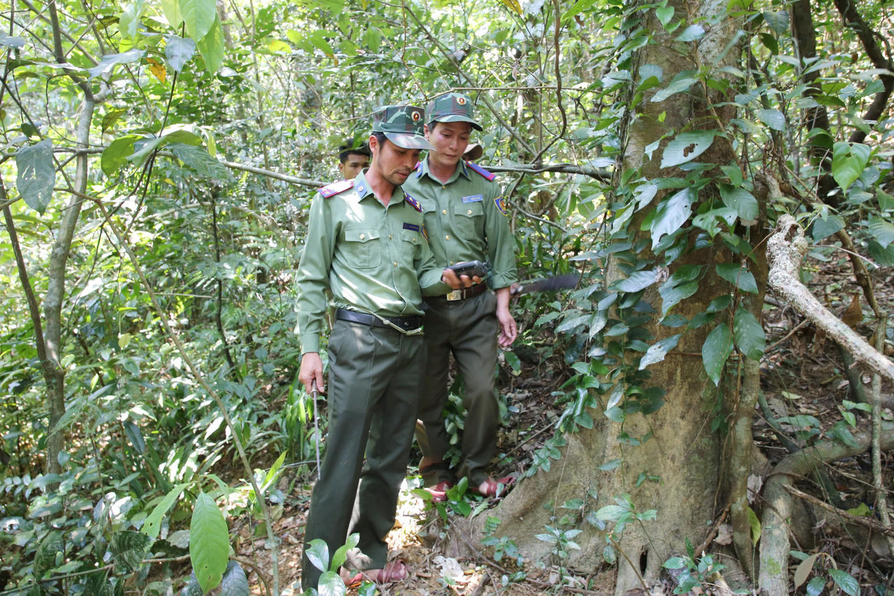 Cán bộ, nhân viên Trạm bảo vệ rừng U Bò tuần tra, bảo vệ rừng.